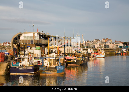 Commercial fishing boats moored in Bridlington Yorkshire coast Stock Photo