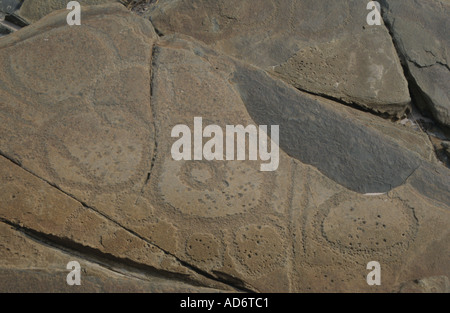 Aboriginal rock carvings on Tasmania s north west coast Australia Stock Photo