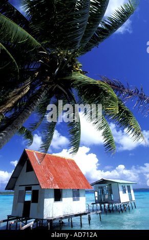 FRENCH POLYNESIA TUAMOTUS ARCHIPELAGO BLACK PEARL FARM Stock Photo