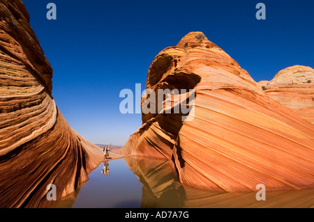 Tourist couple next to water below striated sandstone The Wave Coyote Buttes Paria Canyon Vermilion CCliffs Wilderness Arizona Stock Photo