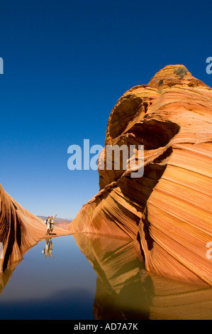 Tourist couple next to water below striated sandstone The Wave Coyote Buttes Paria Canyon Vermilion CCliffs Wilderness Arizona Stock Photo