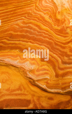 Striated sandstone formations at The Wave Coyote Buttes Paria Canyon Vermilion Cliffs Wilderness Arizona Stock Photo