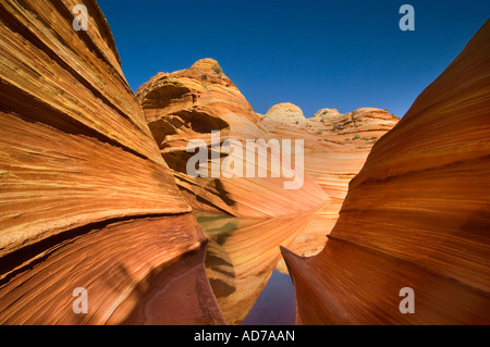 Striated sandstone reflected in seasonal pool of water The Wave Coyote Buttes Paria Canyon Vermilion Cliffs Wilderness Arizona Stock Photo