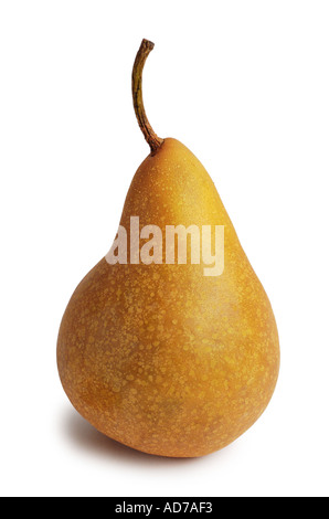 Pear Stock Photo