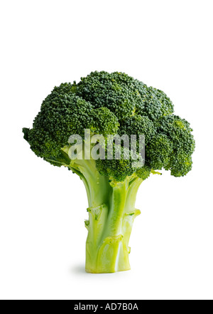 Broccoli Stock Photo