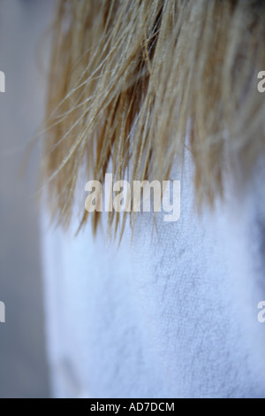 Close-up of wet hair tips, woman wearing bathrobe Stock Photo