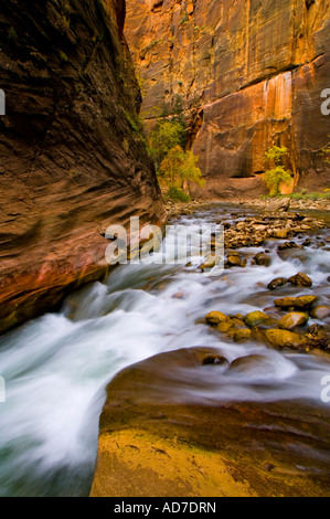 Cascade water over rocks in the Virgin River Narrows Zion National Park Utah Stock Photo