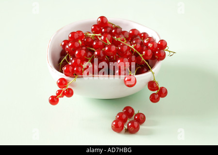 Fresh Redcurrants in bowl Stock Photo