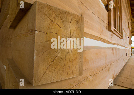 Cedar and Fir used in house construction Stock Photo