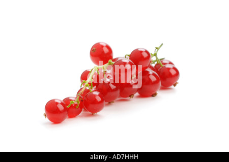 Fresh Redcurrants Stock Photo