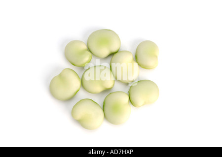 Broad, or Fava, Beans Stock Photo