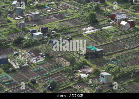 Vegetable allotments in Edinburgh Stock Photo