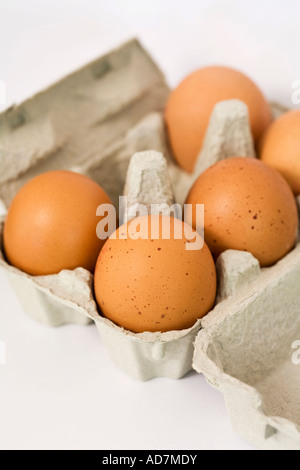 Eggs in an eggbox Stock Photo