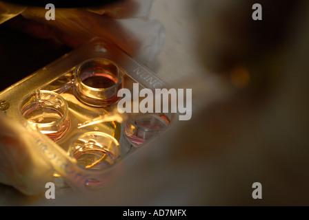 Embryologist placing embryo on a culture dish during Vitrification process at the fertility clinic in Sheba medical center, in Tel Hashomer, Israel Stock Photo