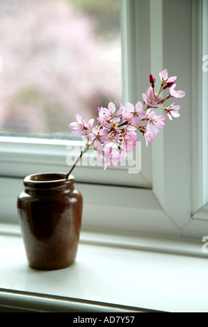 Pink cherry blossom in brown pottery vase on window sill in front of window Stock Photo