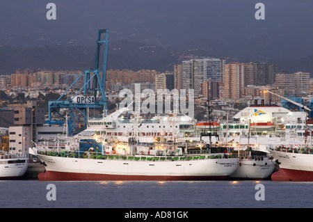 Japanese fishing boats, Las Palmas , Gran Canaria, islas Canarias, Canary islands, Spain, España, Europe, Europa Stock Photo