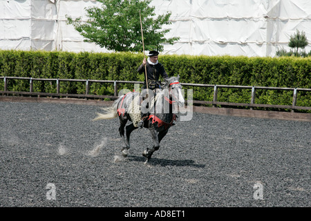 Medieval knight helmet trooper action cavalryman horseman rider equestrian knightly chivalrous errantly spear pike lancer Stock Photo