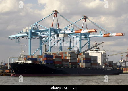 Ships loading in Port Elizabeth New Jersey Stock Photo