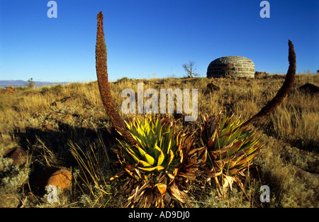 Olive Schreiner's grave Stock Photo - Alamy