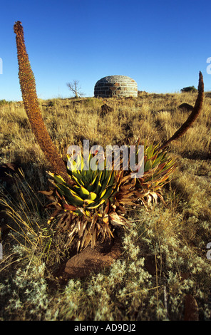 Olive Schreiner's grave Stock Photo - Alamy