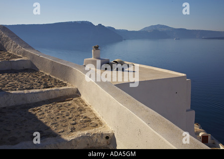 dog on the roof, Greece, Santorin, Oia Stock Photo