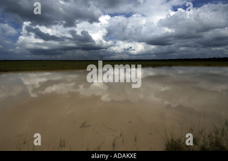 Wilpattu National Park one of the many ponds Stock Photo