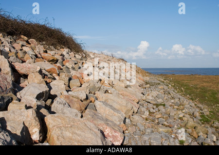Sea wall defences on the River Severn and Bristol Channel Wentloog Wales UK Stock Photo