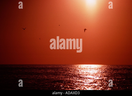 Red gold haze at sunrise on Lake Michigan Point Beach State Forest Wisconsin Stock Photo