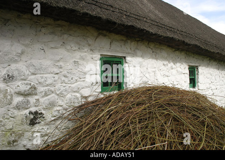 stack of reeds for basket weaving outside cottage in Ireland Stock Photo