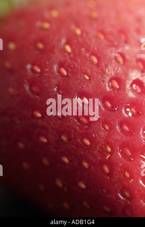 Strawberry close up Stock Photo - Alamy