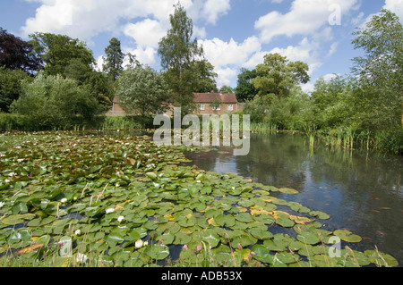 Village Pond - Chiddingfold - Surrey - UK Stock Photo