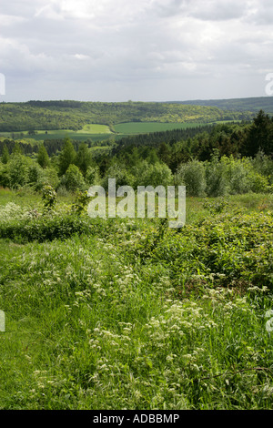 A View of the Chiltern Hills from Wendover Forest, Buckinghamshire, UK Stock Photo