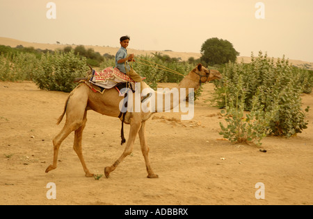 Local boy riding in the desert near tree of life, Kingdom of Bahrain ...