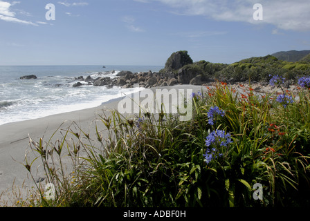 Pacific Ocean North West Coast South Island New Zealand Stock Photo