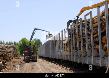 The logging industry near Escanaba in the Upper Peninsula of Michigan ...