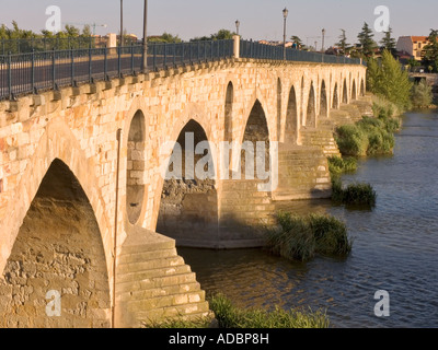 Puente de Piedra over Douro river Zamora Spain Stock Photo