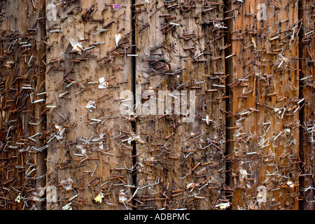Rusted Staples on a Telephone Utility Pole are remnants of many posters and public notices placed here Stock Photo