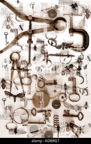 Small objects, bugs, keys and tools create a pattern on a white background. Science discovery and mystery concept Stock Photo
