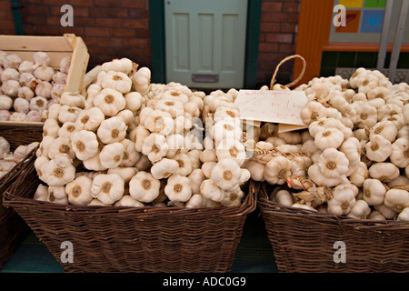 White garlic on sale in baskets at a French farmer s market in street Llangollen Wales UK Stock Photo