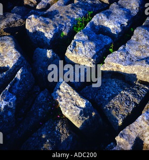 Limestone pavement above Malham Cove Yorkshire dales national park Yorkshire England Stock Photo