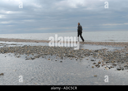 A man walks along the shoreline in Milford Connecticut USA Stock Photo
