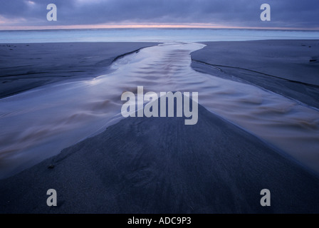Coastal drainages converge on McClures Beach before entering the Pacific Ocean Point Reyes National Seashore California USA Stock Photo