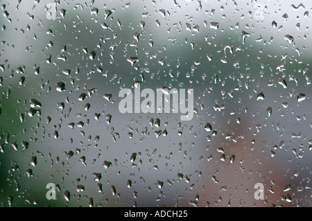 Rain drops on a window Stock Photo