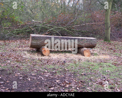 Seating constructed from freshly cut logs in a woodland setting Stock Photo