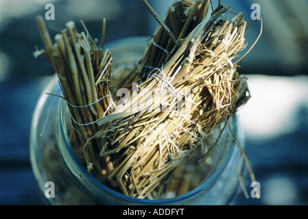 Dried fennel stalk Stock Photo