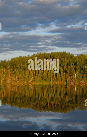 Forest in the Abitibi Temiscamingue region Quebec canada Stock Photo