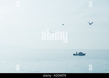 Seagulls flying over lake and fisherman in boat Stock Photo