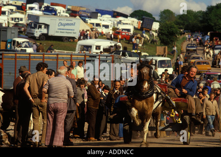 Appleby Gypsy Fair Appleby in Westmorland Cumberland  annually in June England. Showing horses. Trotting.  1980s 80s,   HOMER SYKES Stock Photo
