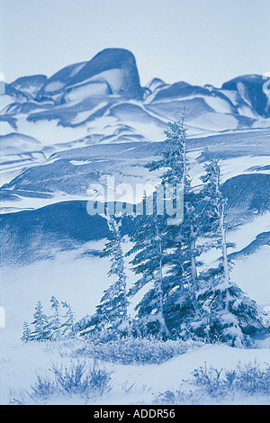 Landschaft Stock Photo