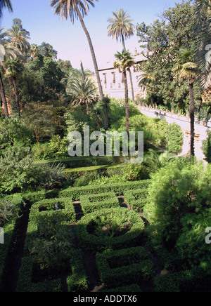 View of Alcazar Palace & gardens Palacio de Don Pedro Sevilla Seville Andalusia Andalucía España Spain Iberia Europe Stock Photo